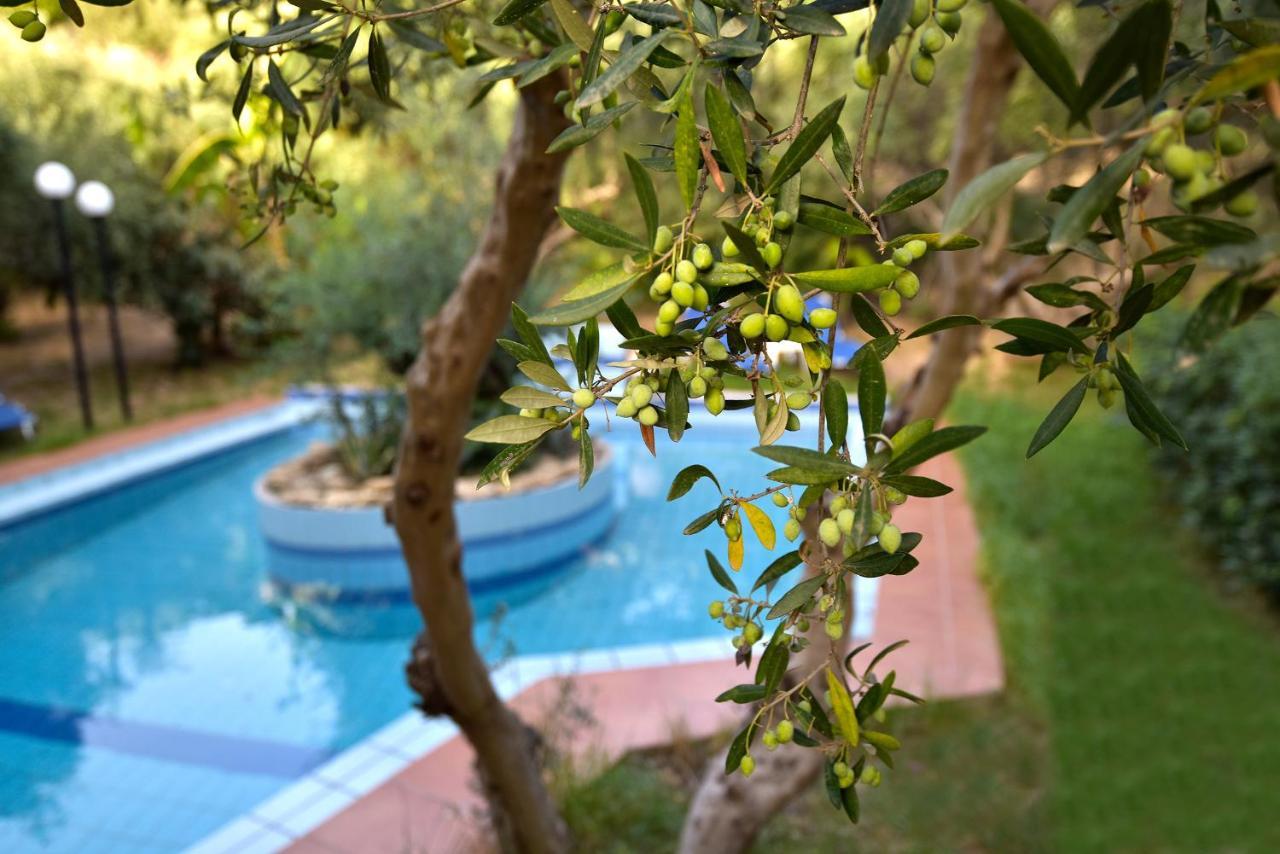 Olive Farm Villa Agia Marina  Exterior photo