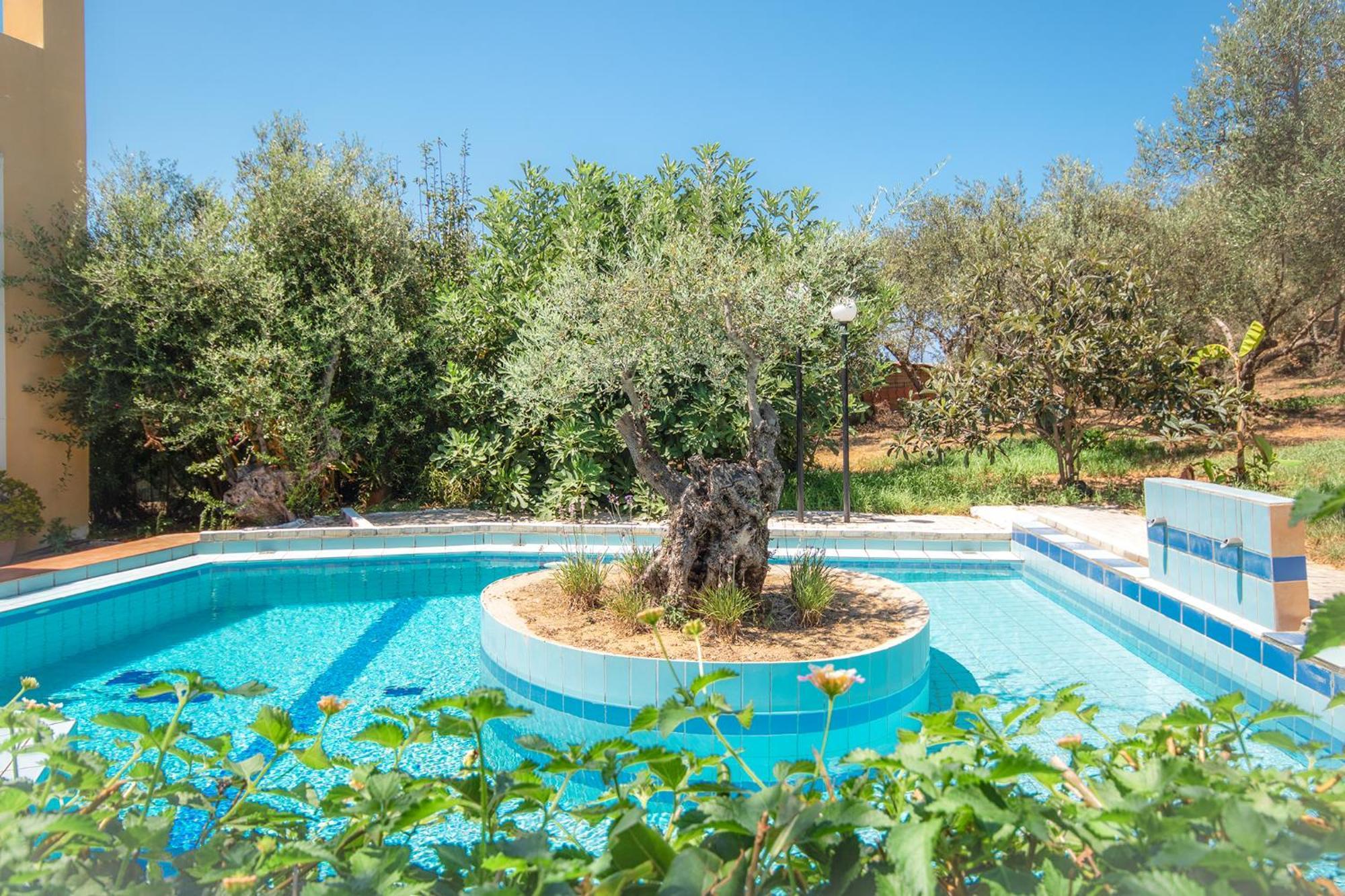 Olive Farm Villa Agia Marina  Exterior photo