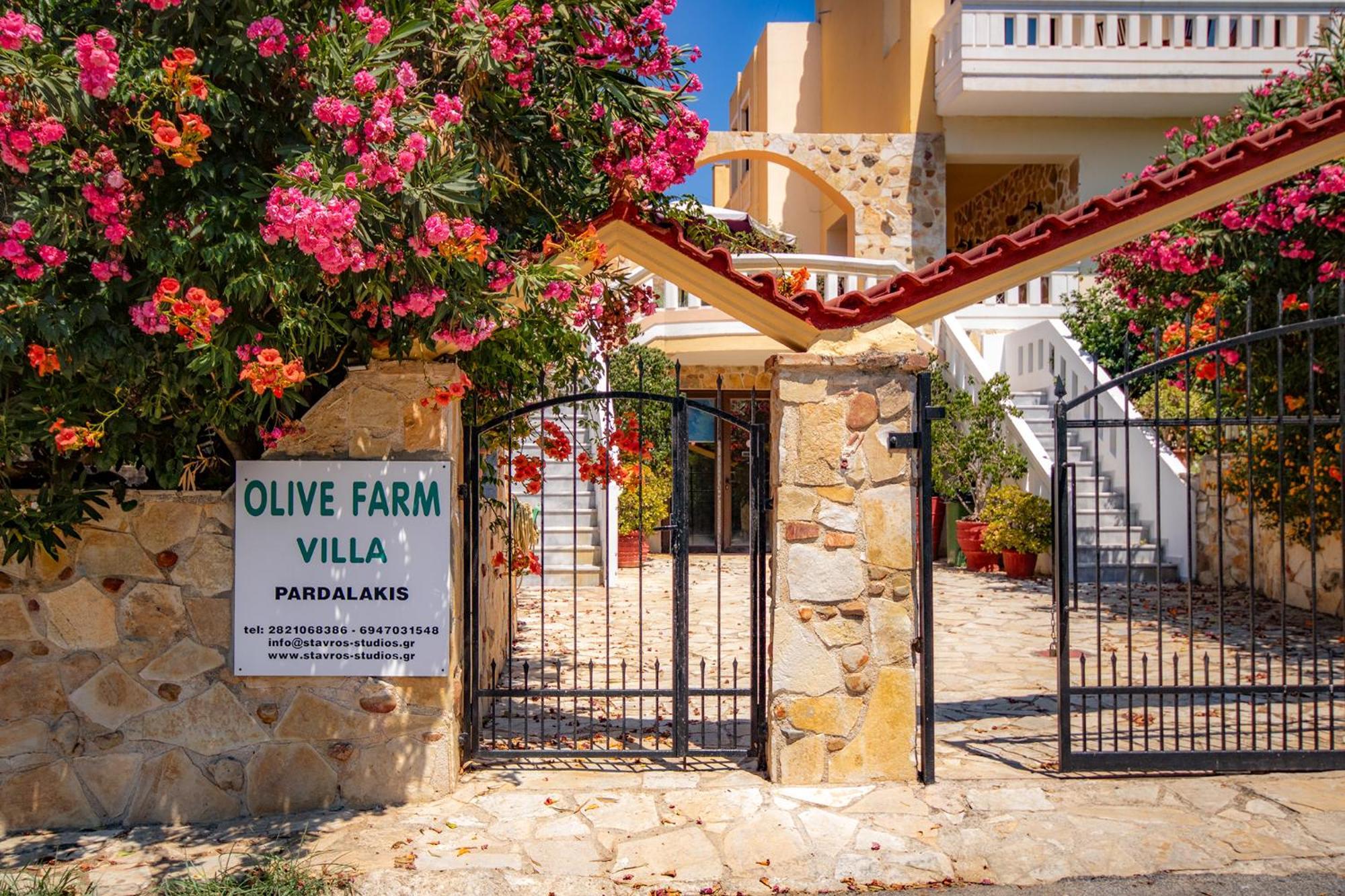 Olive Farm Villa Agia Marina  Exterior photo